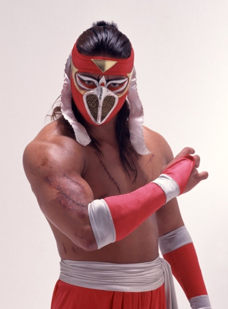 ハヤブサ（プロレスラー）