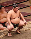 響龍